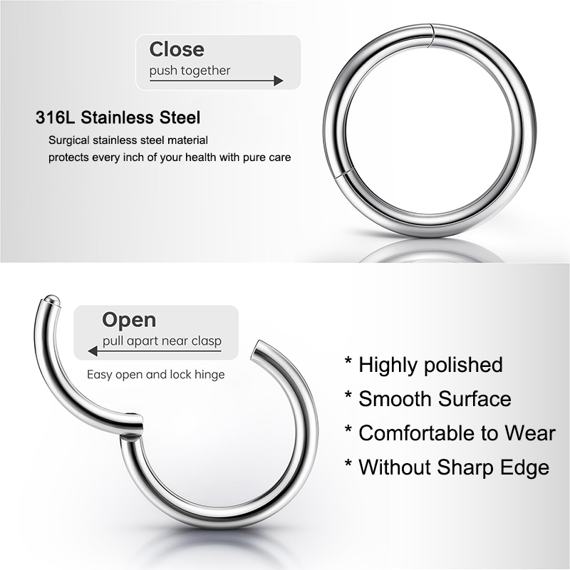 16G 316L Surgical Steel Hinged - Body Jewelry Nose Ring recension och pris