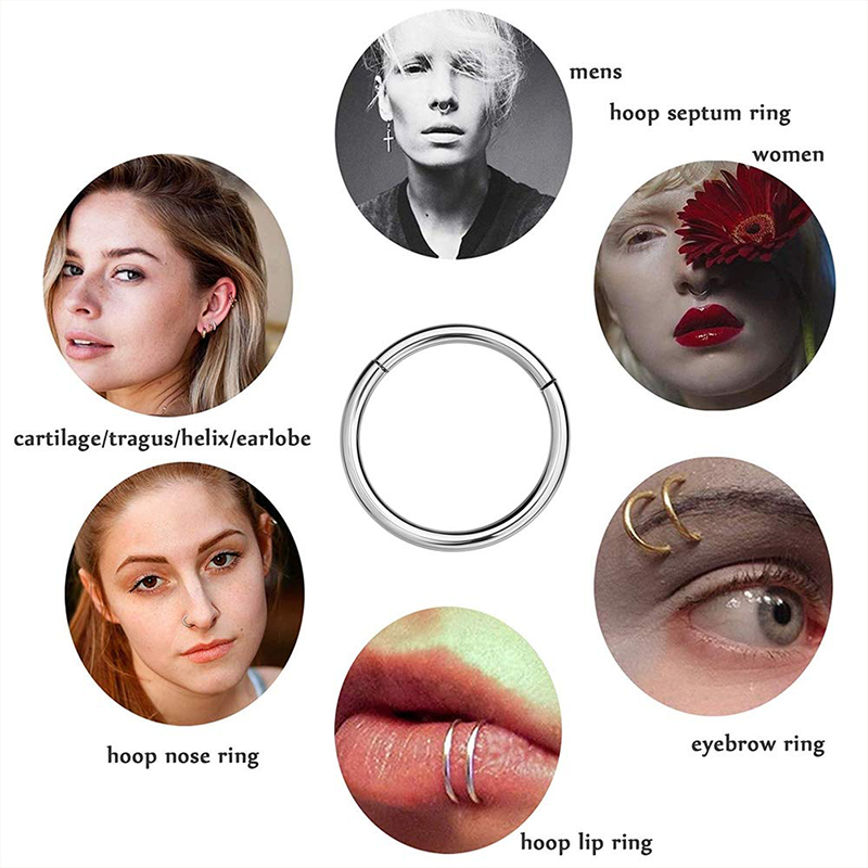 16G 316L Surgical Steel Hinged - Body Jewelry Nose Ring recension och pris