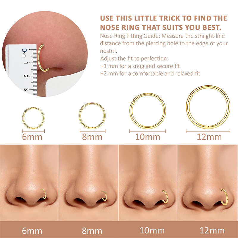 16G 316L Surgical Steel Hinged - Body Jewelry Nose Ring recension och pris